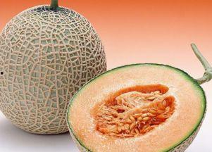 吃哈密瓜磕牙,美味与磕牙的较量