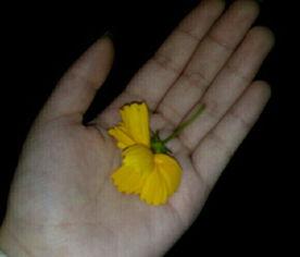 网友吃瓜素材视频大全,网友吃瓜素材视频大盘点