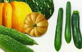 吃瓜瓜吃瓜瓜吃瓜,揭秘娱乐圈的甜蜜瓜田