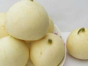 子长吃瓜,揭秘娱乐圈的甜蜜与苦涩