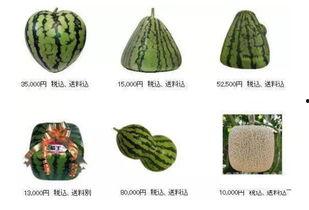 轻易吃瓜,揭秘娱乐圈那些事儿