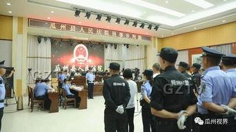 法院开庭吃瓜事件,吃瓜群众见证开庭奇观