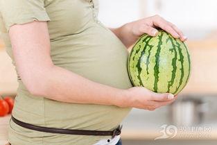 孕妇经常吃瓜,孕妇健康饮食新选择